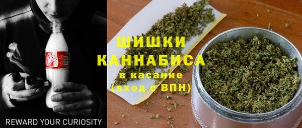 молекула духа Покровск