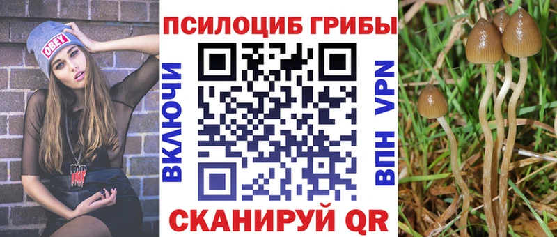 как найти закладки  Козьмодемьянск  Псилоцибиновые грибы Psilocybe 