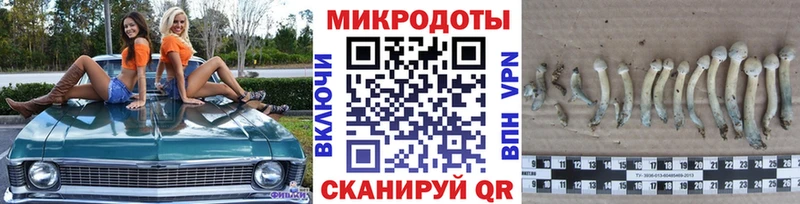 Галлюциногенные грибы MAGIC MUSHROOMS Козьмодемьянск