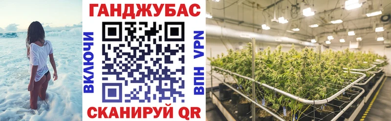 Бошки марихуана план  Козьмодемьянск 